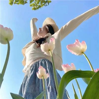 达芬奇的一生