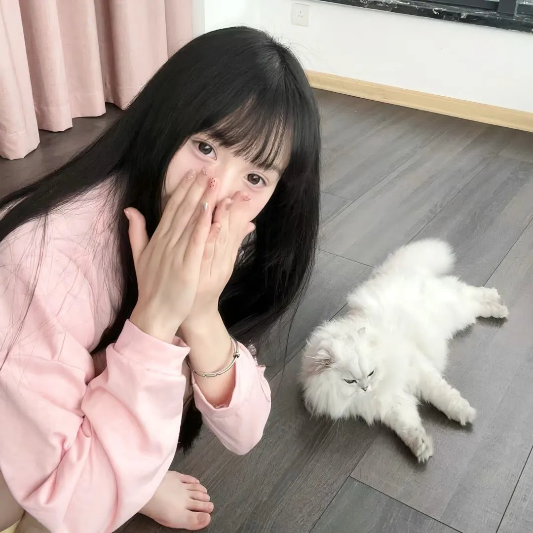 黑猩猩的世界
